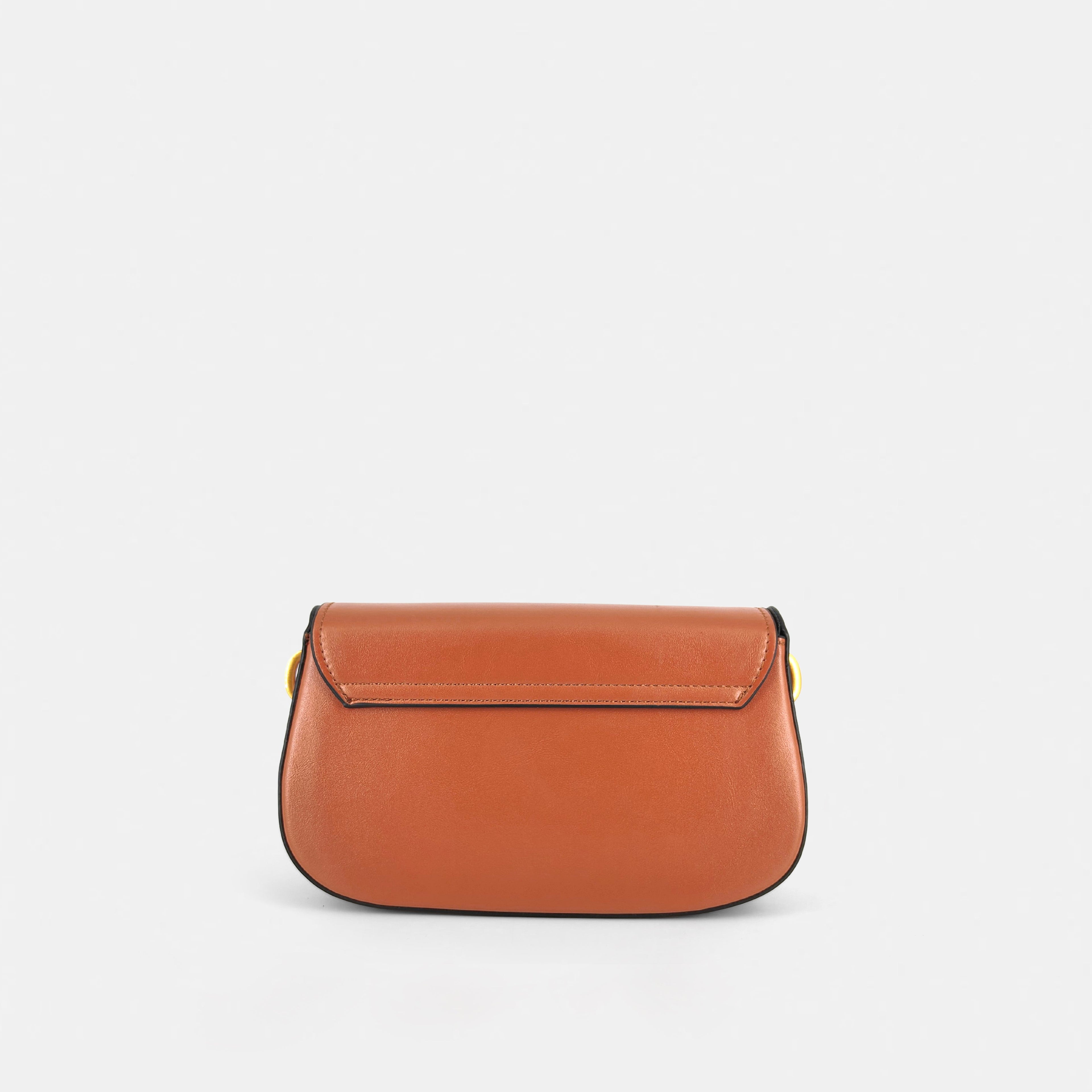 YSL hand & sling bag