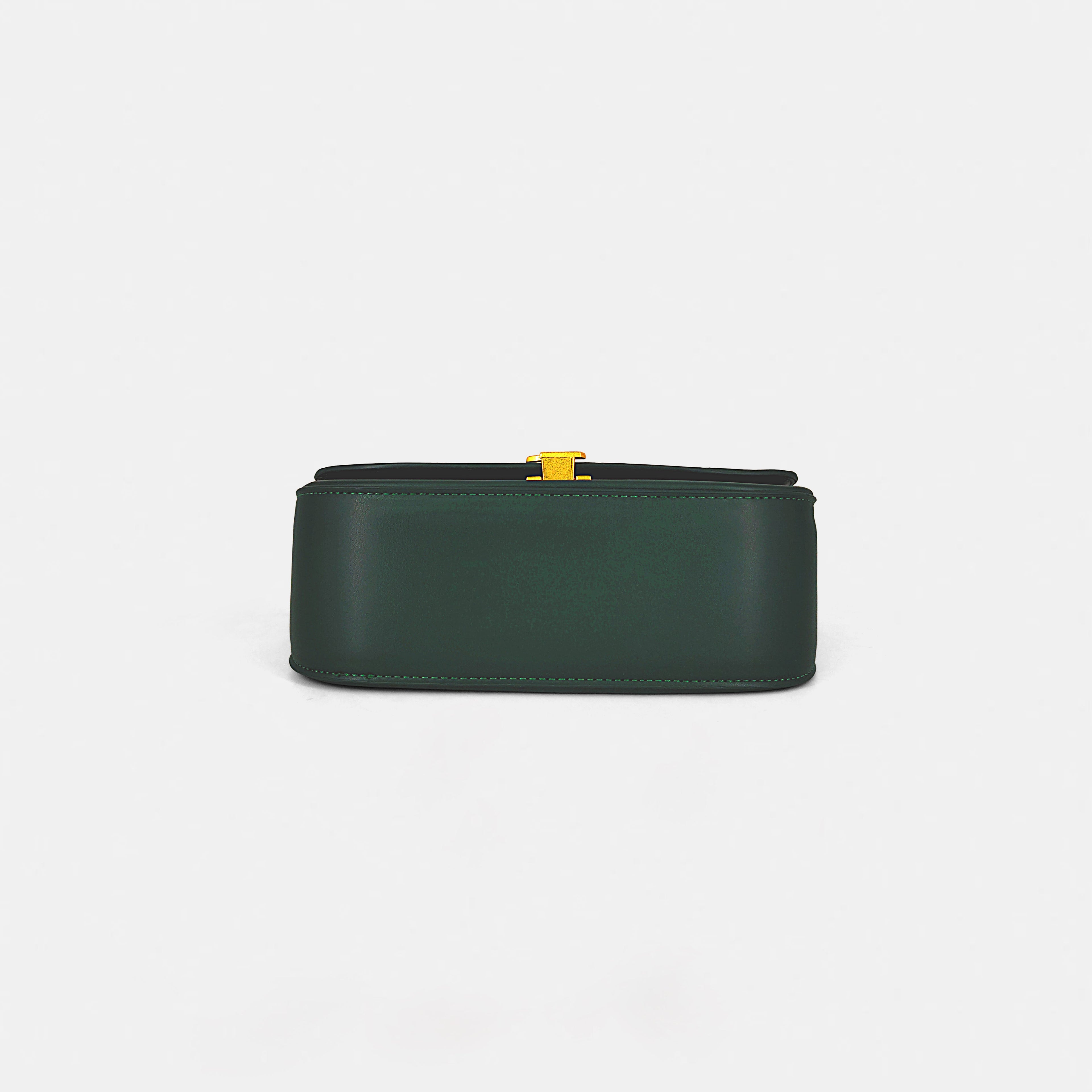 YSL Hand & Sling Bag