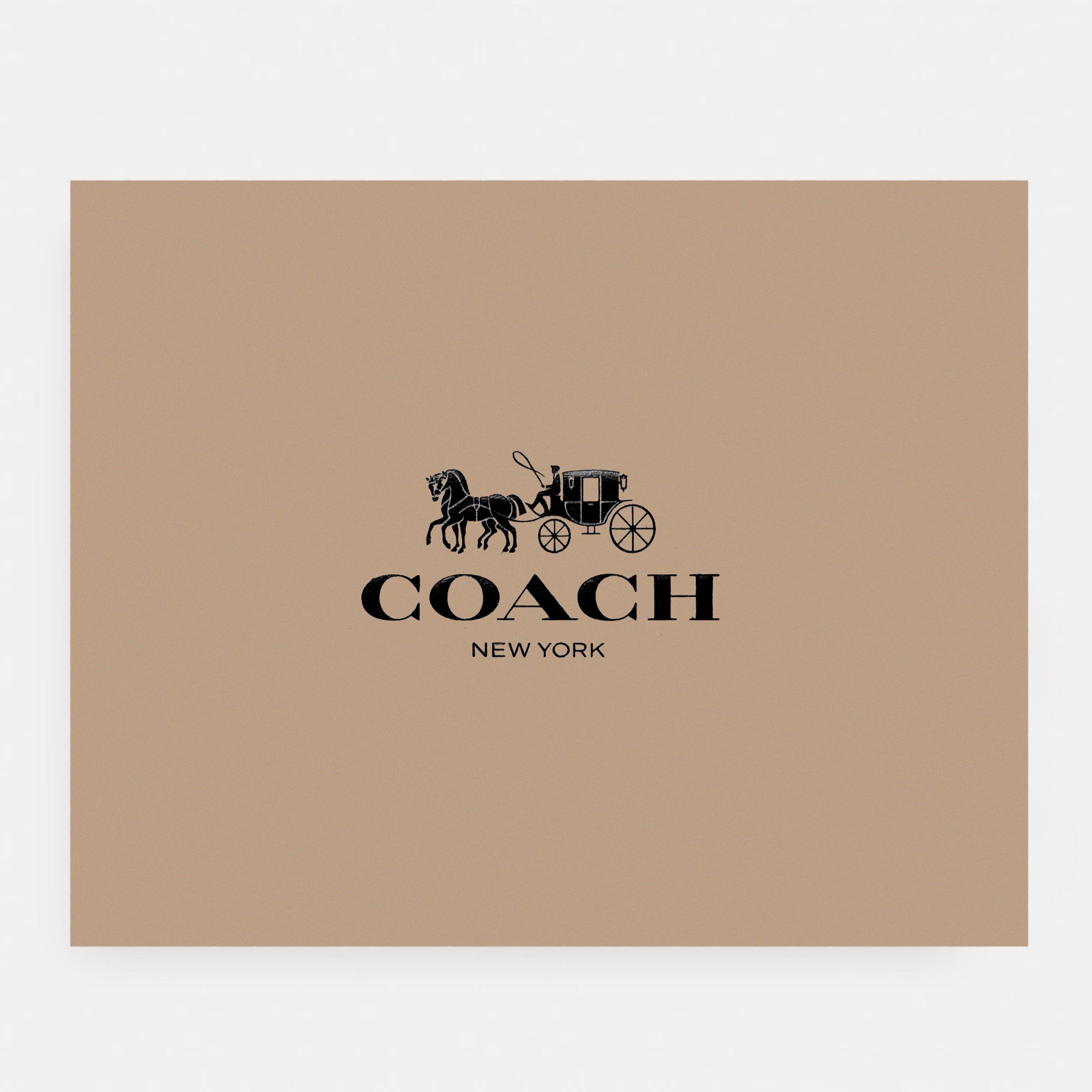 Coach-Inspired Mini Shoulder Bag