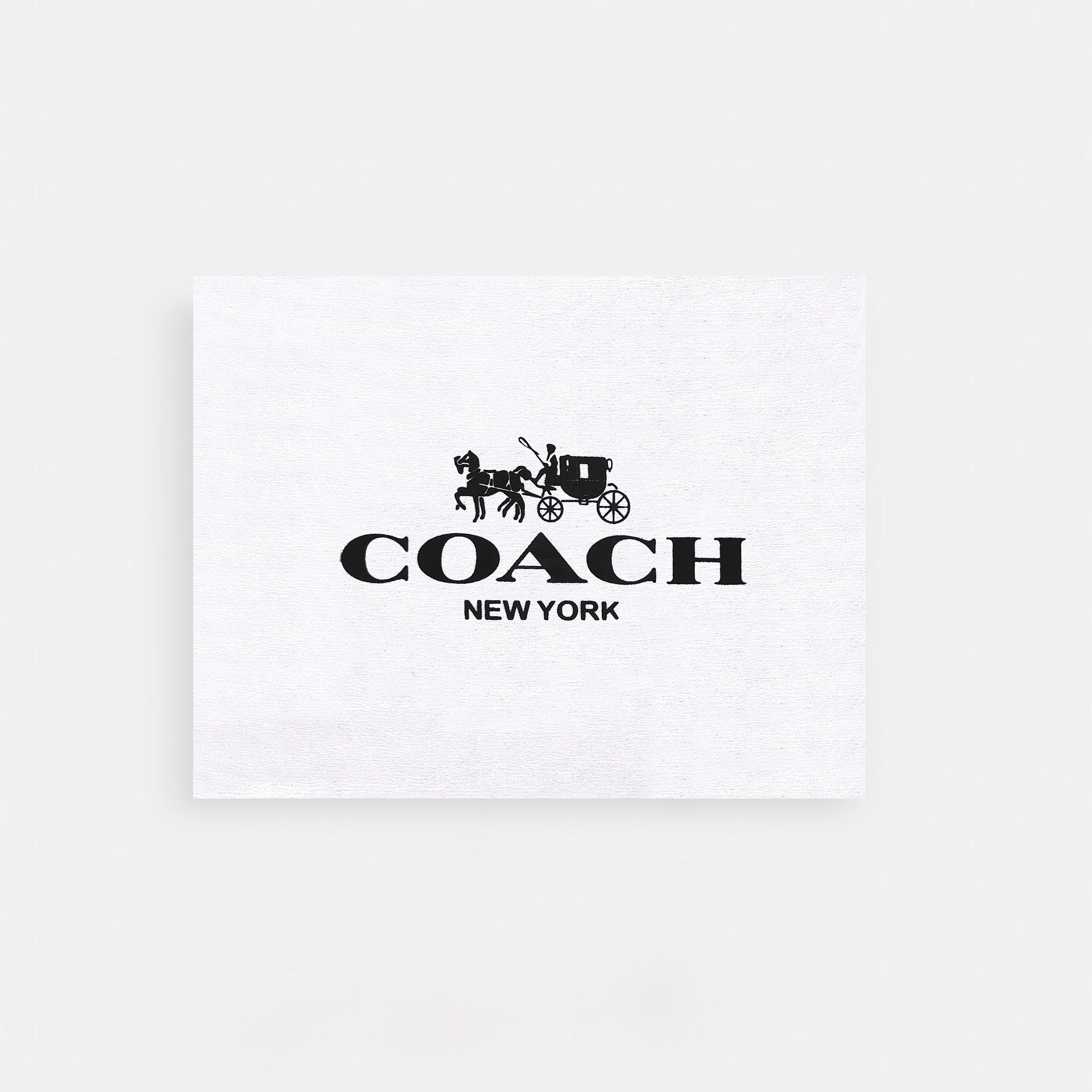 Coach-Inspired Shoulder & Sling Bag