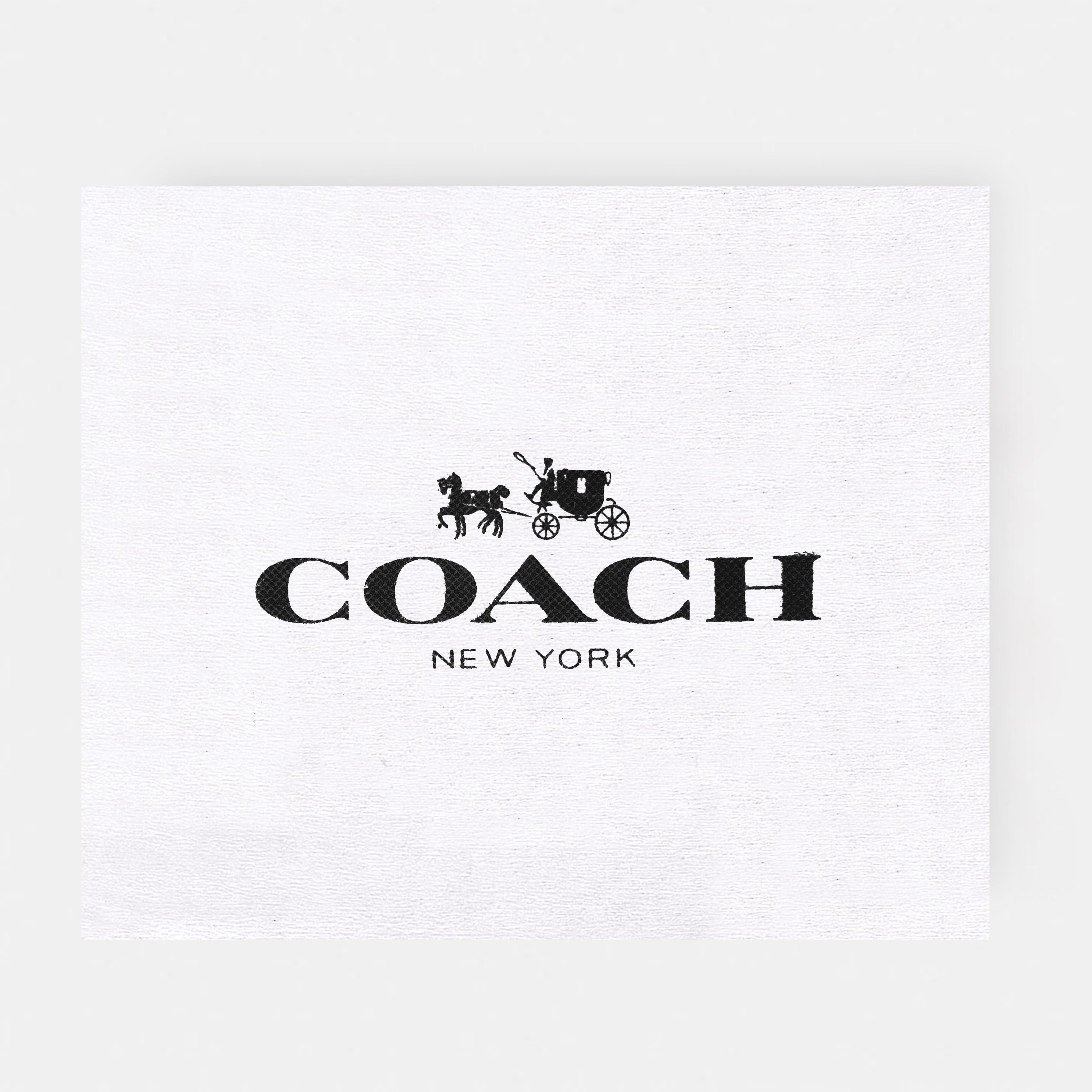 Ｃ - - Shoulder Sling MINI BAG