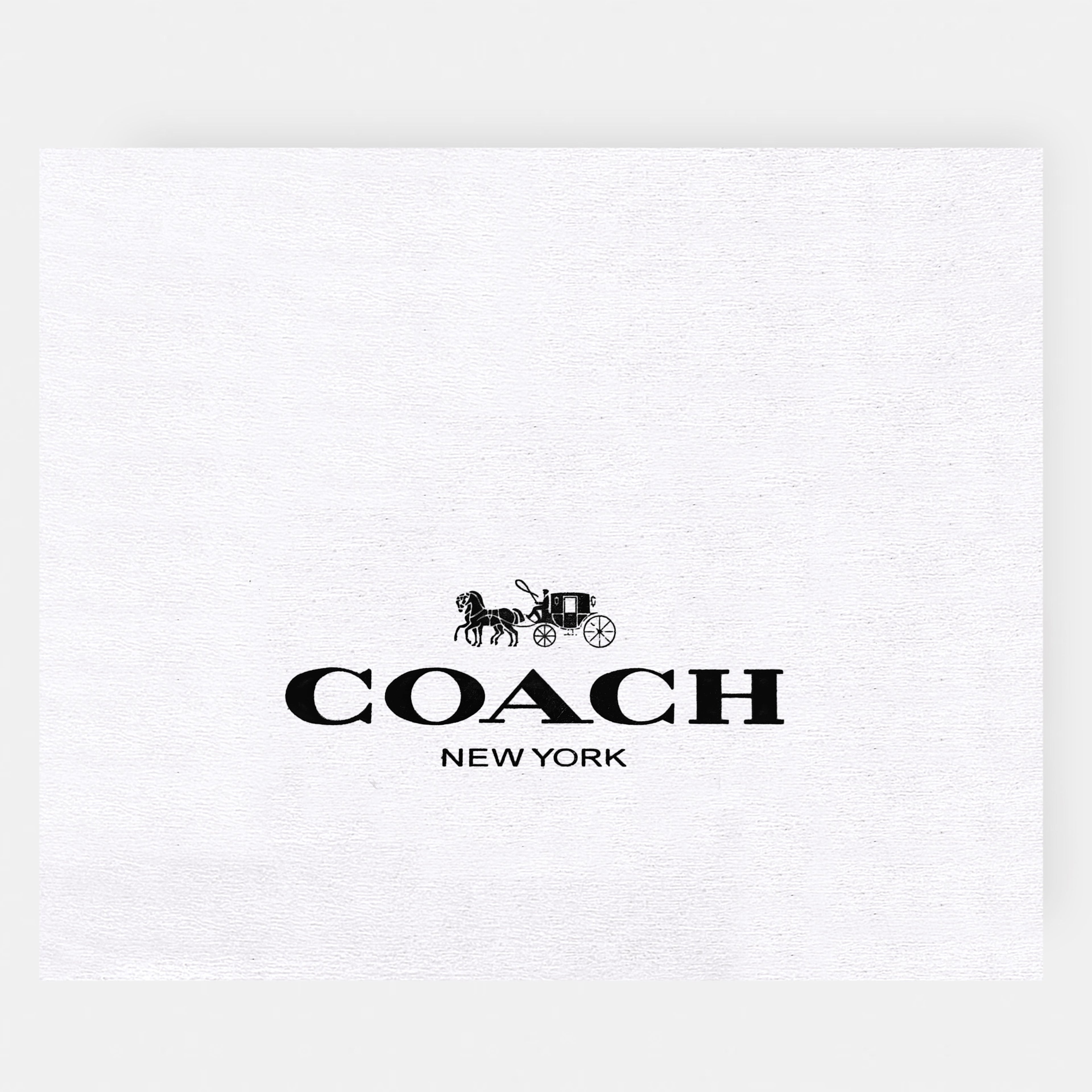 Coach-Inspired Shoulder & Sling Bag