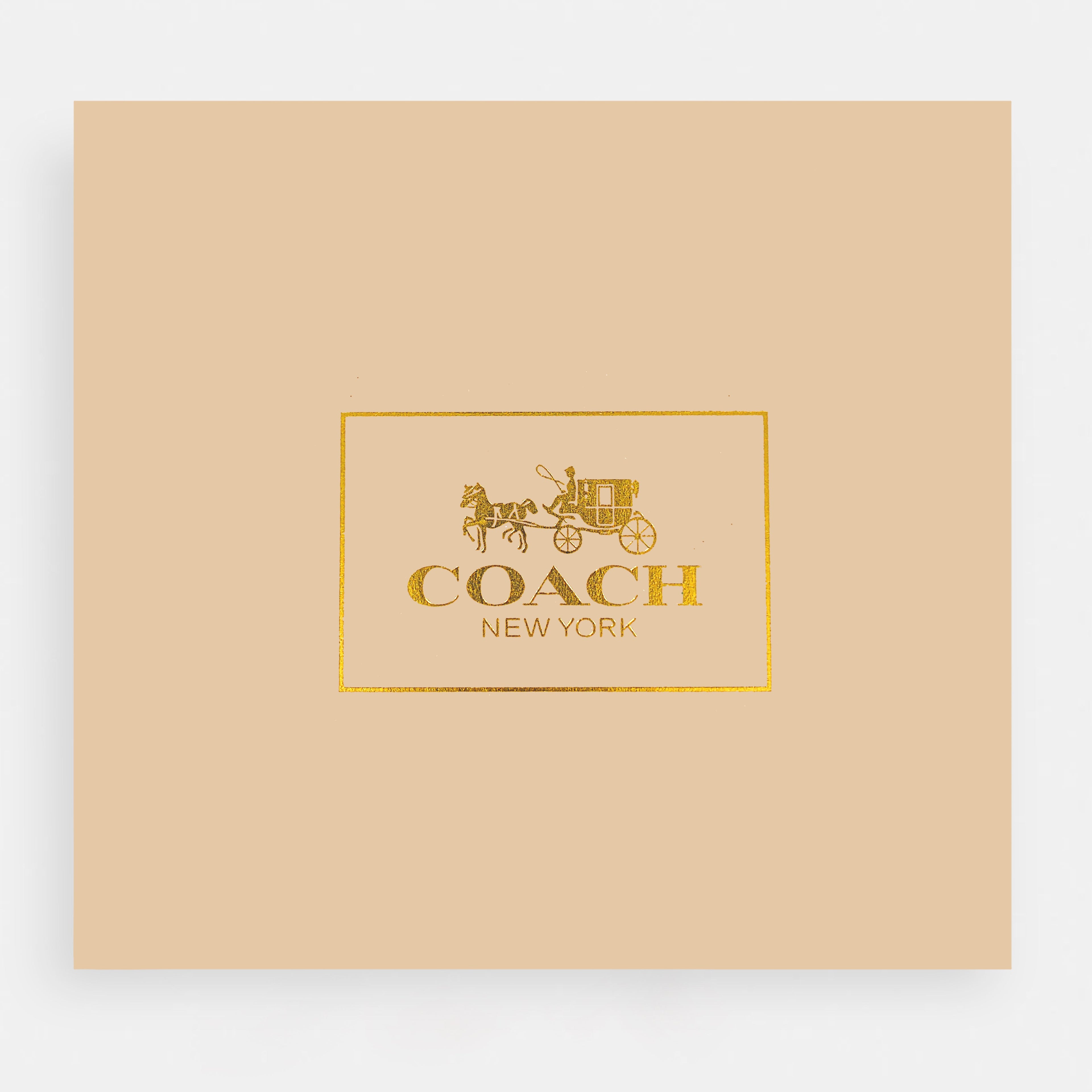 Coach-Inspired Mini handBag
