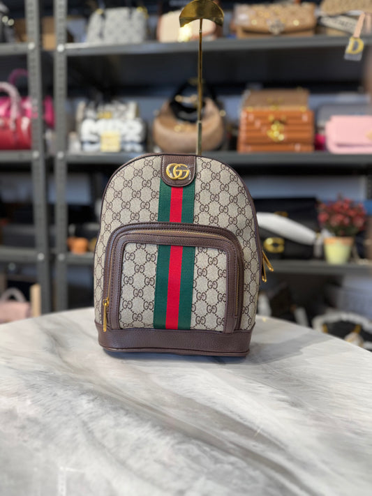 GG Luxury Backpack Bag With Dust Bag